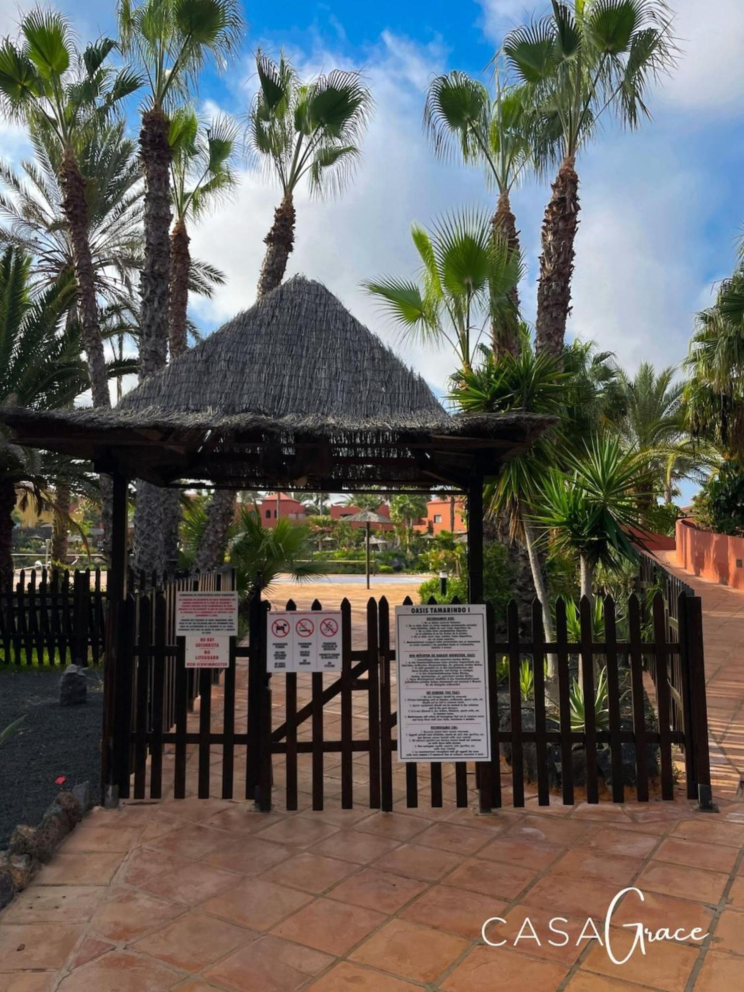 Tamarindo 1 Casa Grace Wifi Free Pool View By Rentalfue コラレホ エクステリア 写真