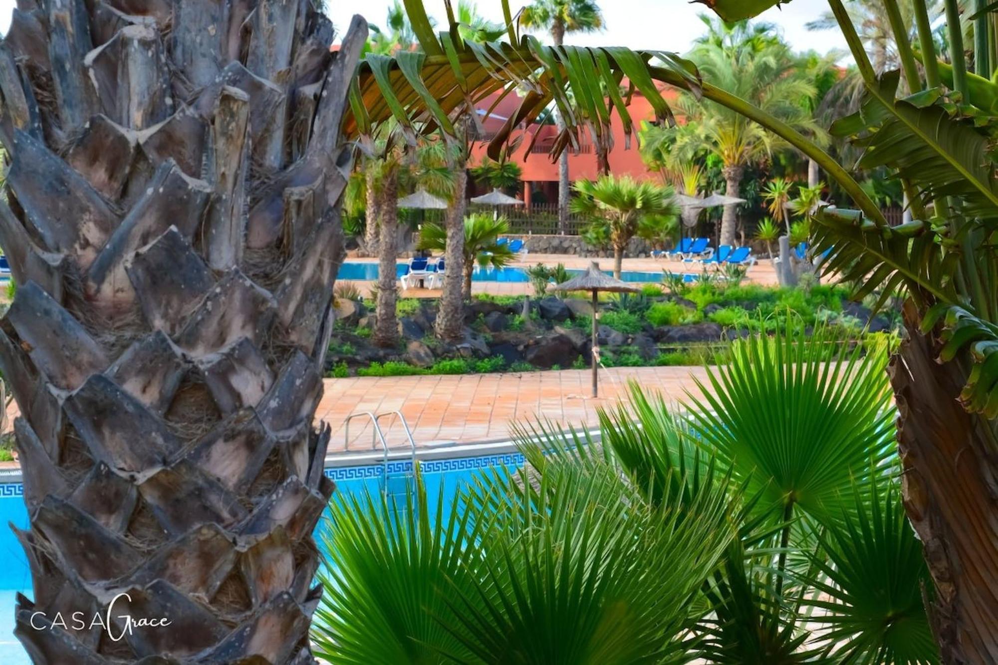 Tamarindo 1 Casa Grace Wifi Free Pool View By Rentalfue コラレホ エクステリア 写真